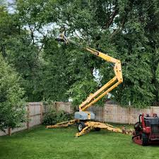 Artificial Turf Installation